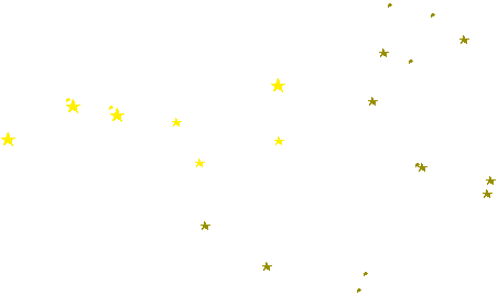 Gro&szlig;er B&auml;r